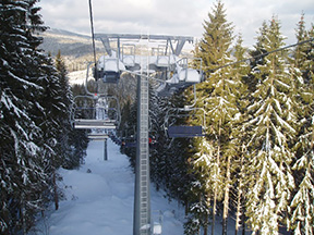 Kým vrcholový úsek trate vedie otvorenou stráňou, dolný prechádza lesným priesekom. /foto: Andrej 02.02.2007/