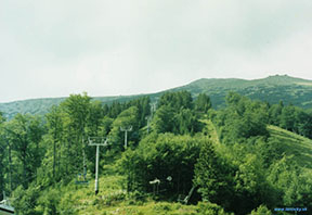 na fotke je vidno lanovku Srdiečko-Kosodrevina na údolnom úseku a vpravo hore je Chopok /foto: Peter Brňák/