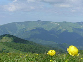 pohľad na pohorie Krížnej - v pozadí bývalá vrcholová stanica jednosedačky na Líšku /foto: Peter Brňák 22.6.2008/