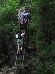 na vrchol Geráv sa dá ísť aj jednosmernou trasou vpravo od lanovky a naspäť lanovkou /foto: Miroslav Ryška 29.06.2008/