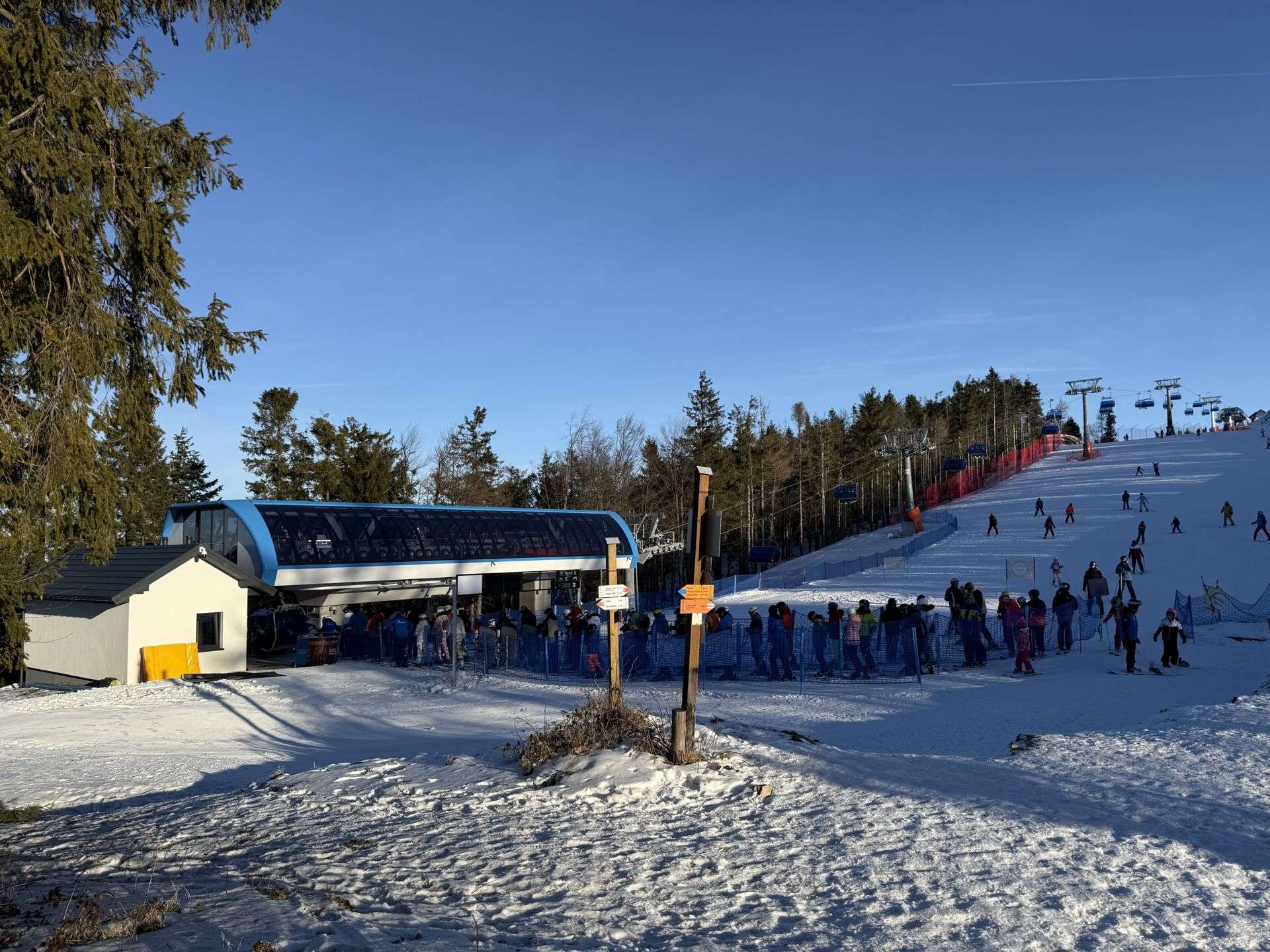 Krynica