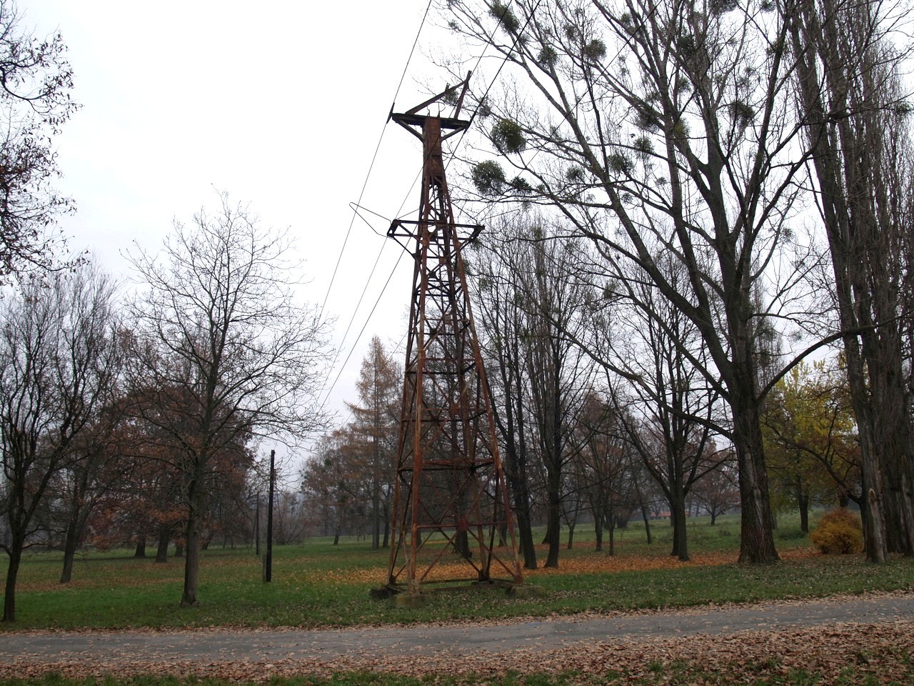 nldbankov048.jpg - foto: Andrej Bisták 16.11.2014