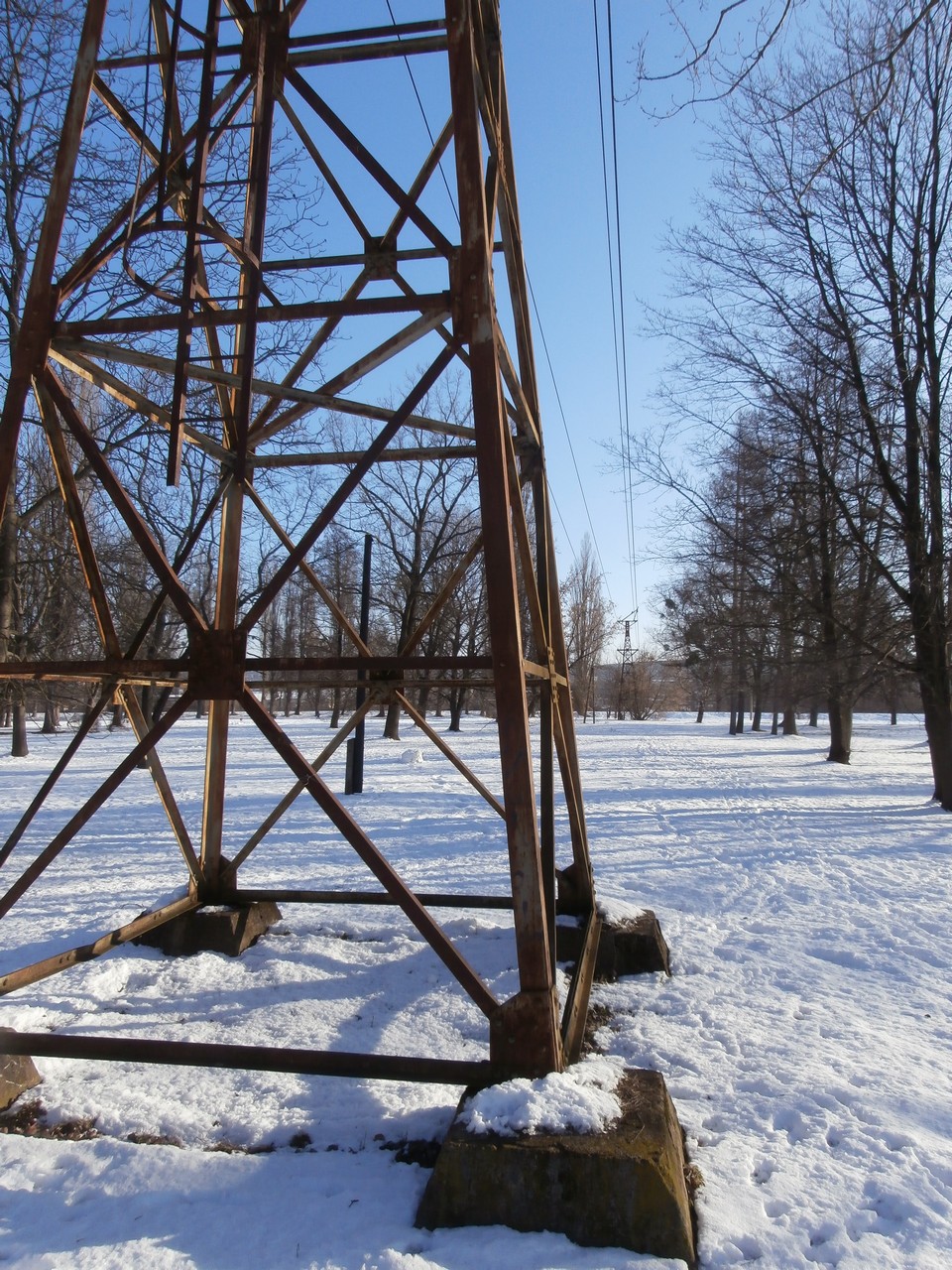 nldbankov070.jpg - foto: Ján Palinský 7.2.2015