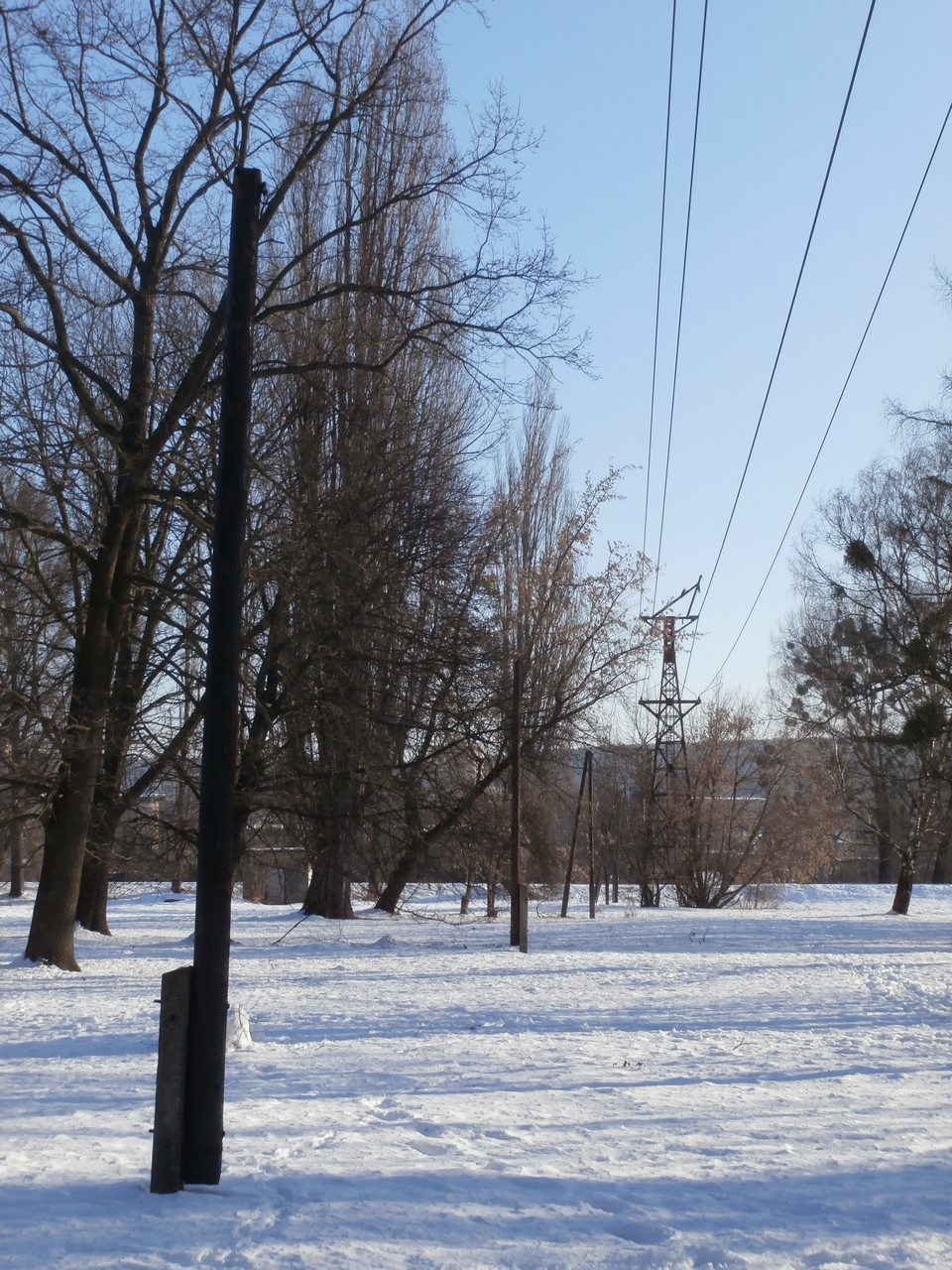 nldbankov071.jpg - foto: Ján Palinský 7.2.2015