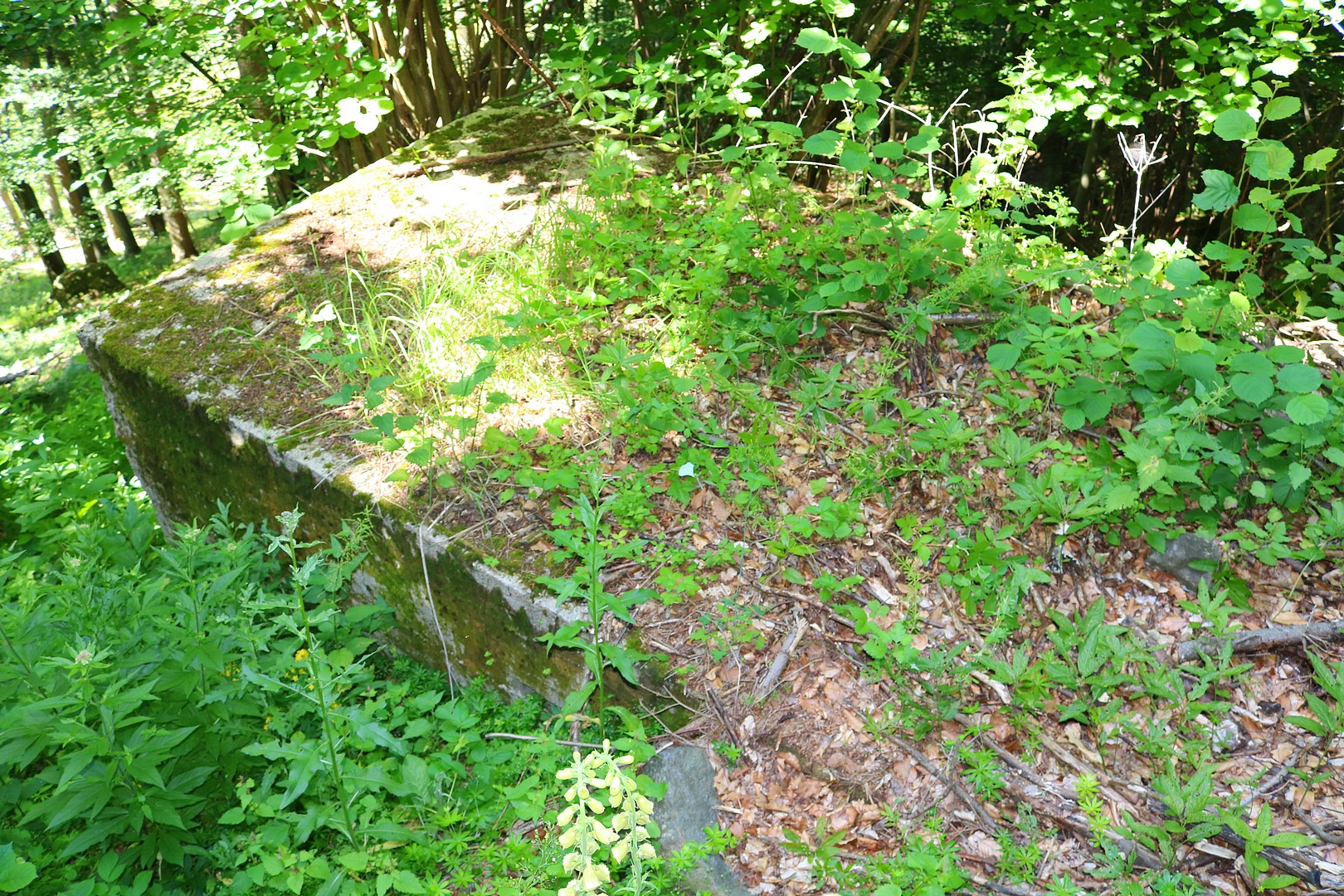patka podpěry č. 6  - foto: Radim Polcer 29.06.2019
