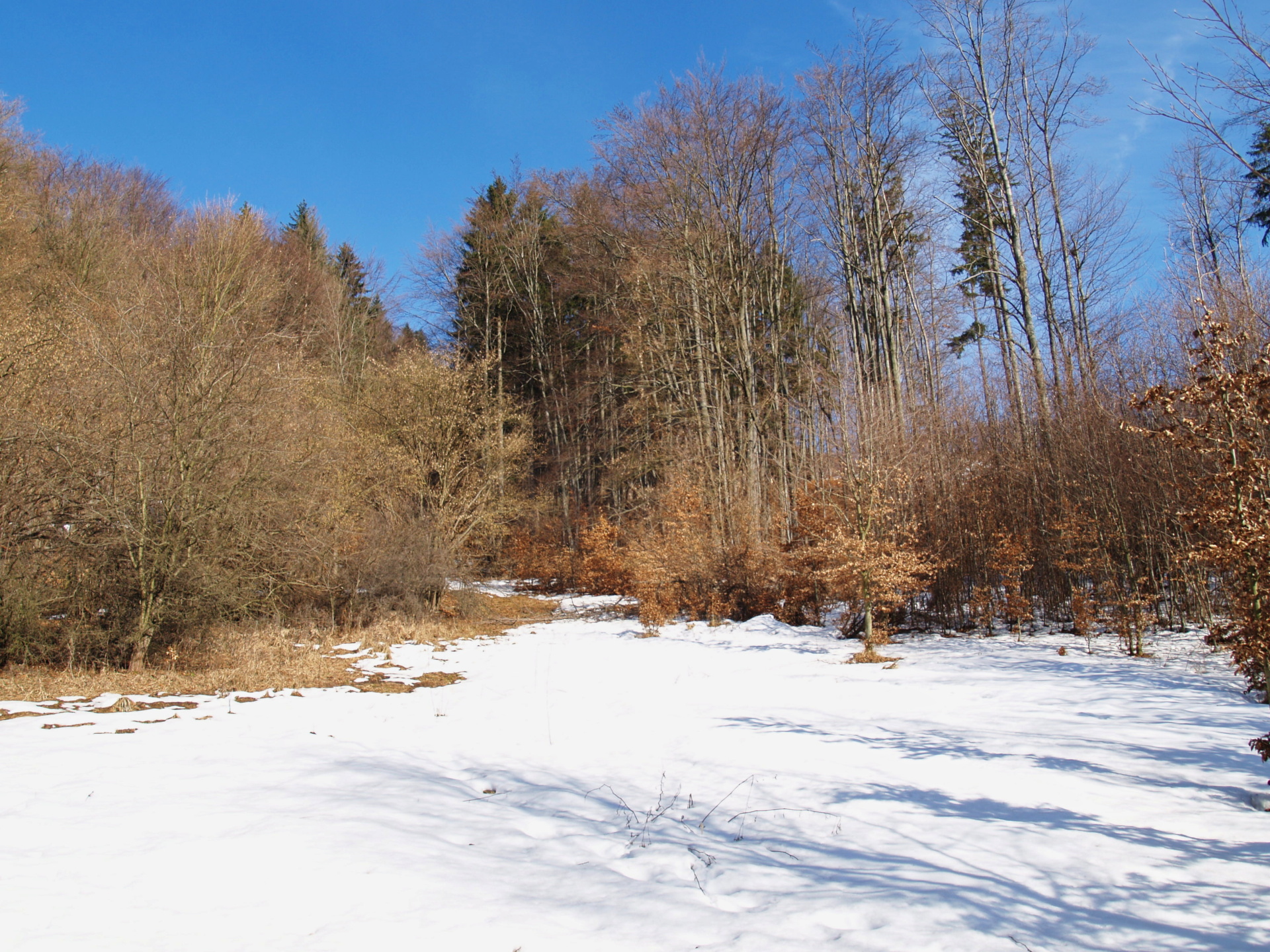 V osi trate, asi medzi podperami č. 3 - 4  - foto: Andrej Bisták 18.2.2019