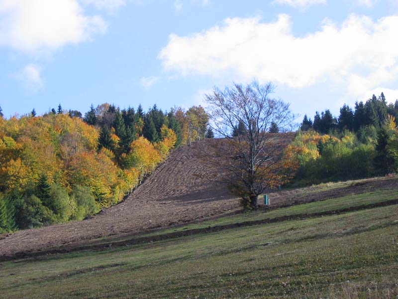 marguska12.jpg - foto: Mirek 12.10.2003