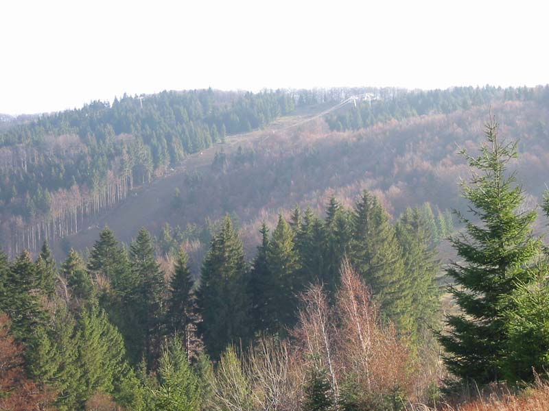 trasa lanovky a nová Tomanova zjazdovka  - foto: Mirek 22.11.2003