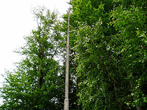 Osvetľovací stožiar už bez svietidiel /foto: Andrej Bisták 19.6.2004/